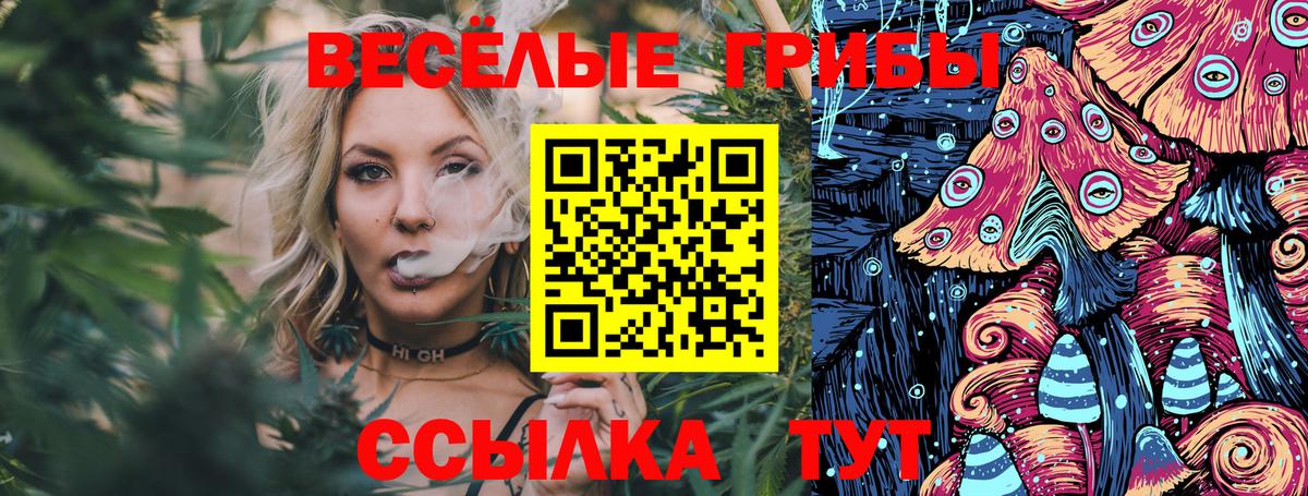Фурманов  Галлюциногенные грибы GOLDEN TEACHER  Галлюциногенные грибы Psilocybe  Вход с VPN 
